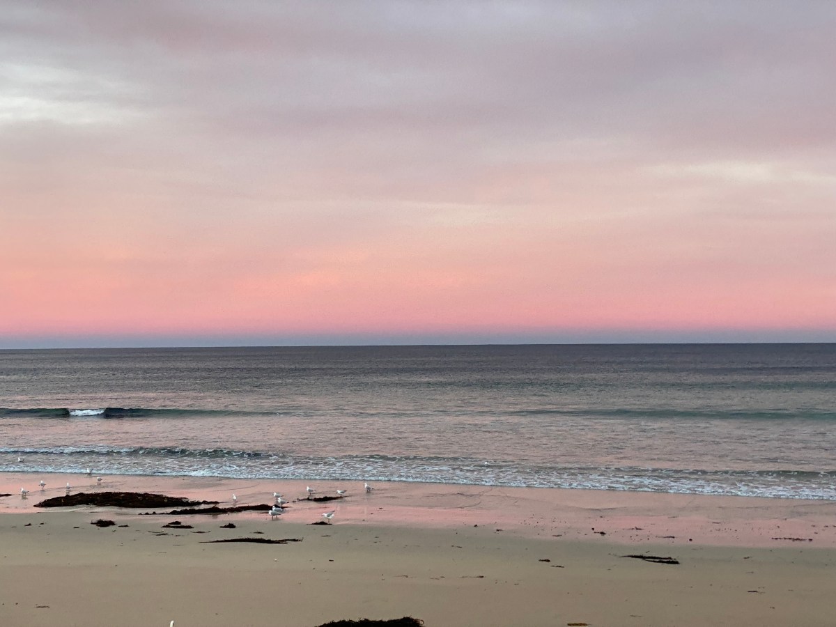如何在墨爾本談戀愛——參加KKDay無腦一日遊（下）：Phillip island上走Nobbies boardwalk、看企鵝遊行